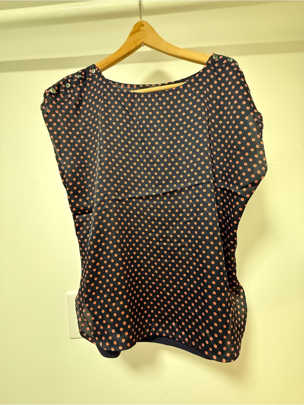The Limited Navy Blouse with Red Polka Dots